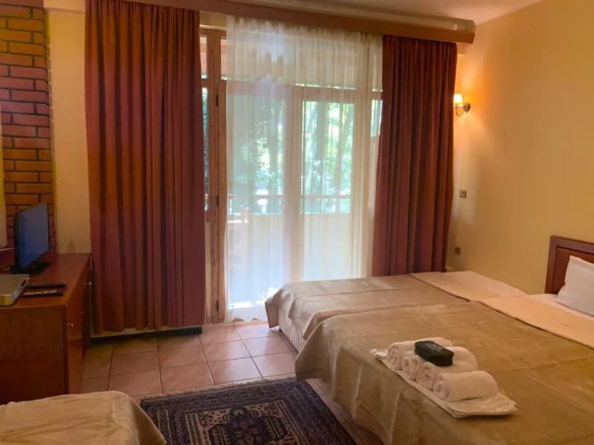Standard Double room with balcony and with view