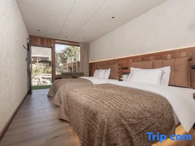 Standard Twin room with garden view