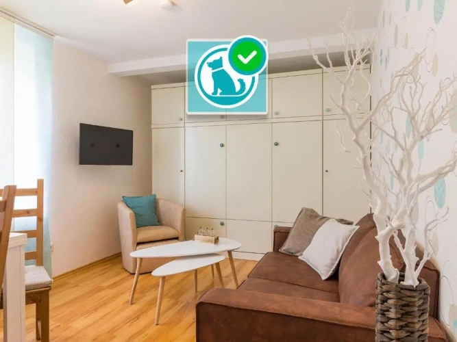 1 Bedroom Apartment with balcony