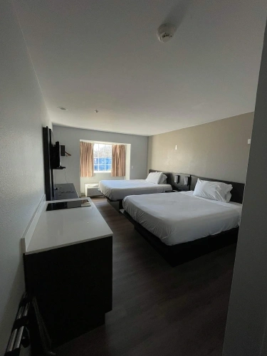 Standard Quadruple Suite
