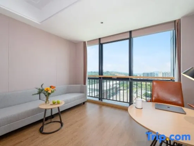 Standard Double room with city view