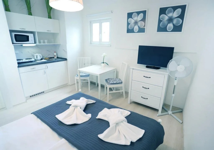 Apartments Pushkin