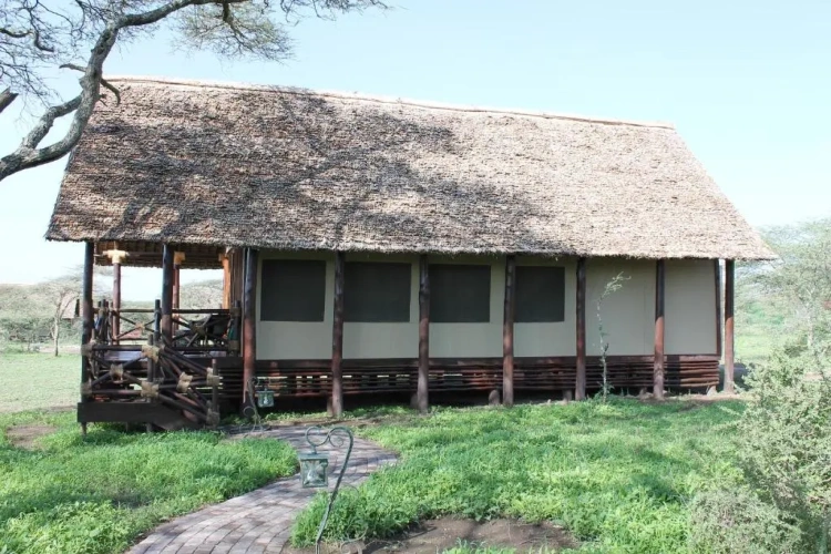 Tent