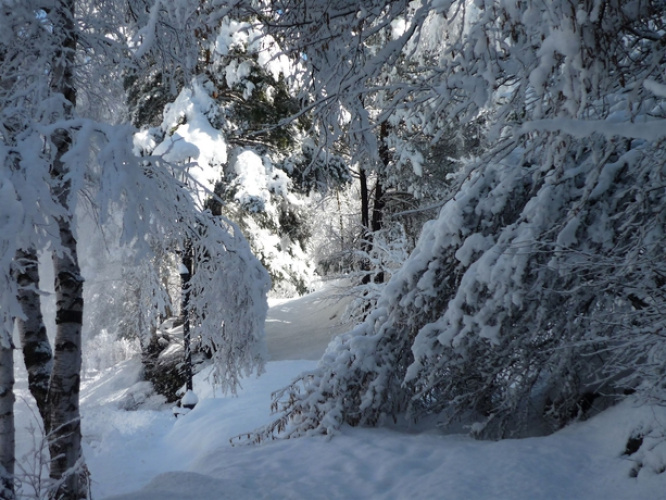 Apartamentos La Neu