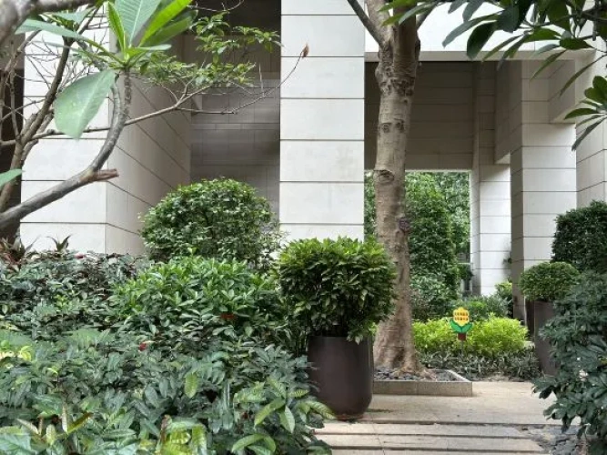 Outside