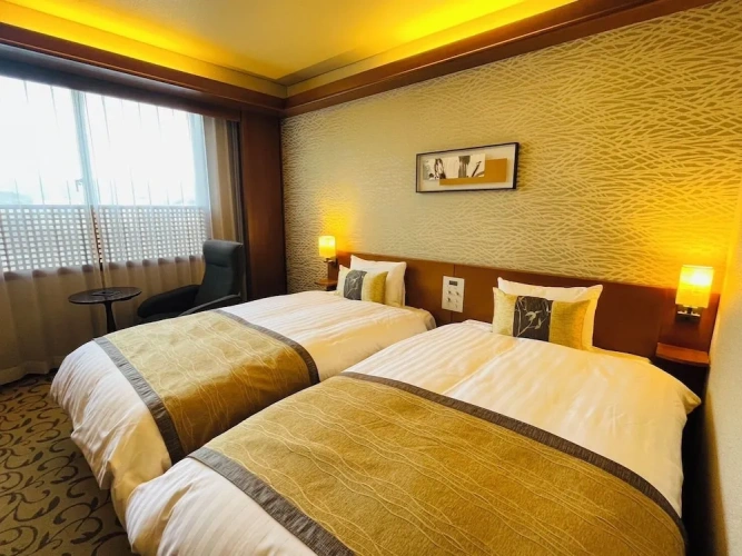 Standard Twin room with city view