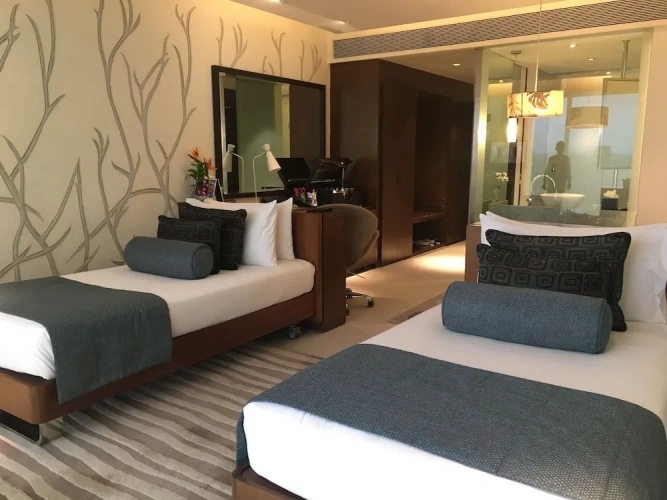 Superior Single room with city view