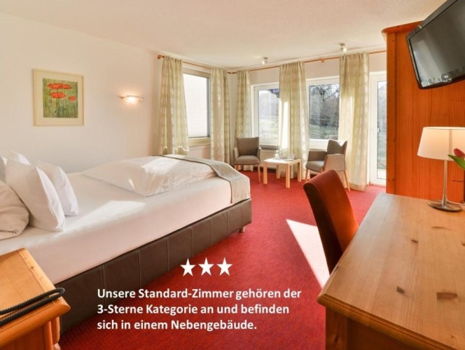 Standard Single room with balcony and with view