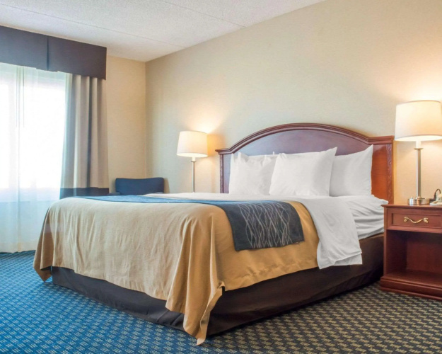 Comfort Inn Rochester - Greece
