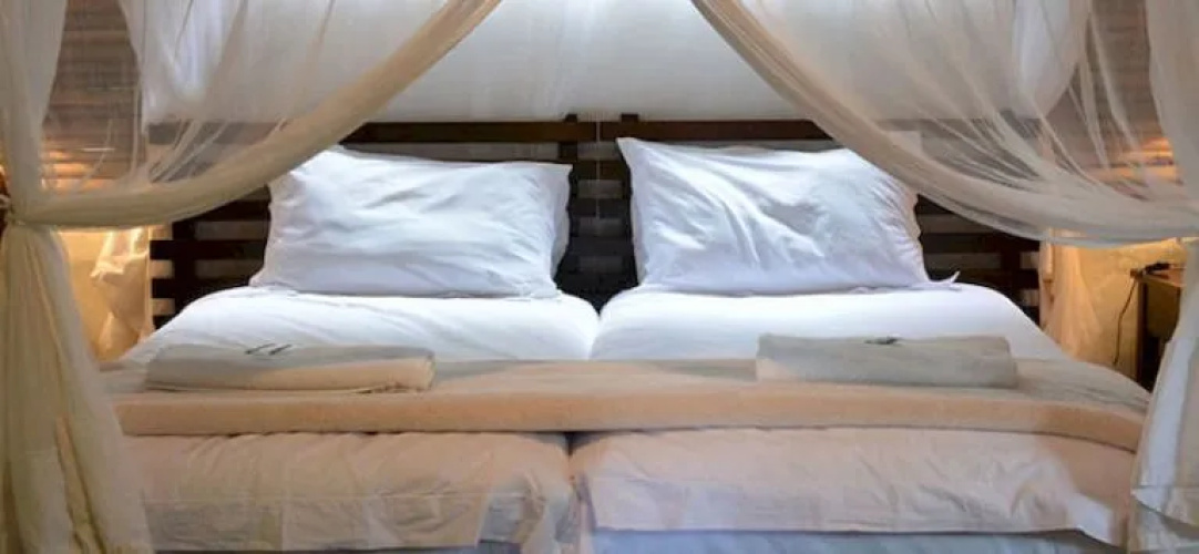 Royal Thonga Safari Lodge
