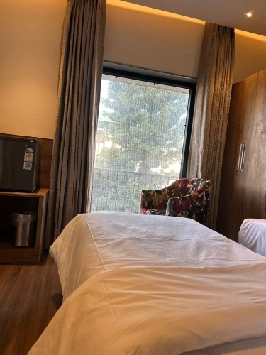 Deluxe Double room with city view