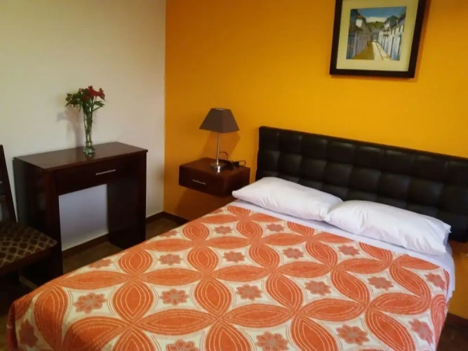 Executive Single room