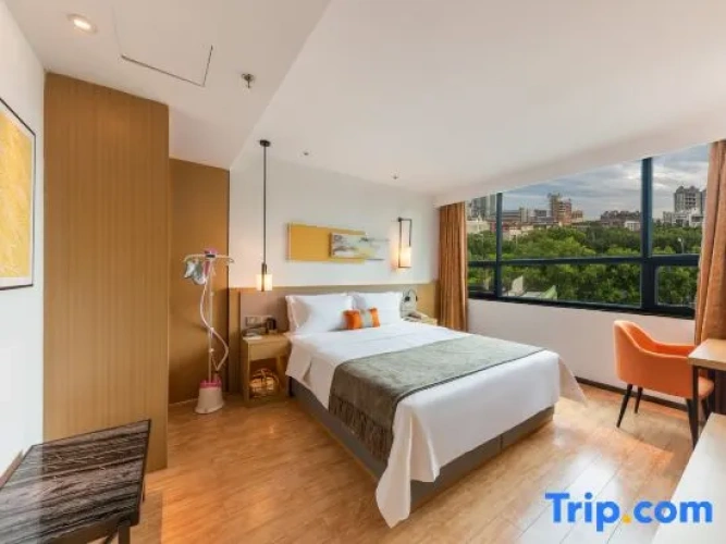 Single Suite