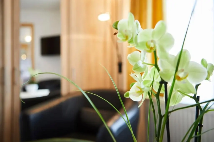 Family Suite with balcony