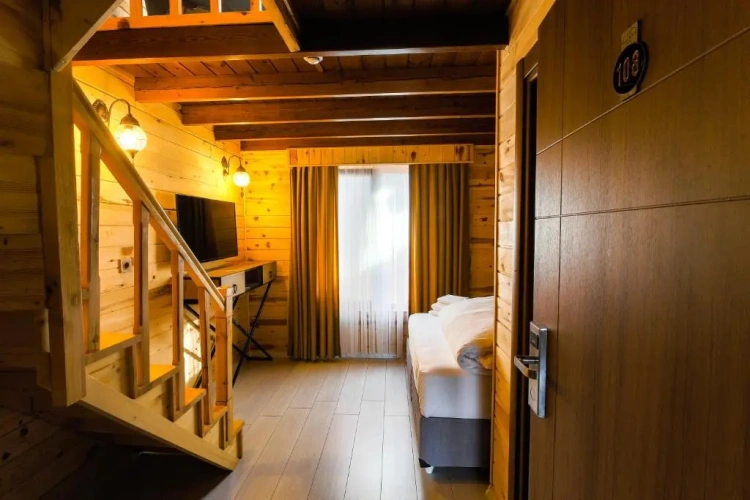 Standard Single room with mountain view