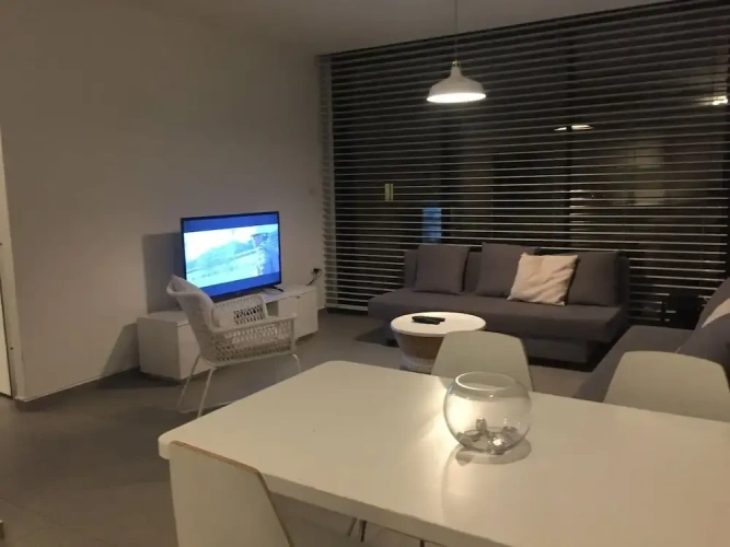 1 Bedroom Apartment with city view