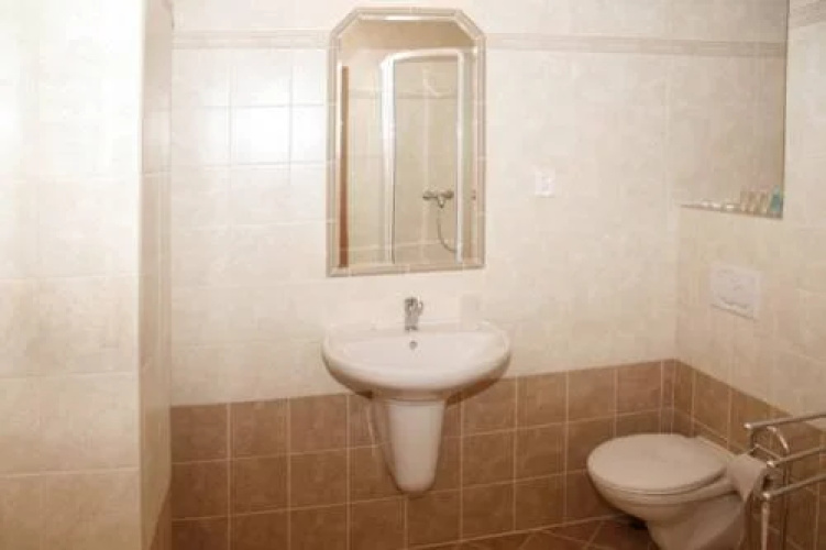 Hotel Allvet