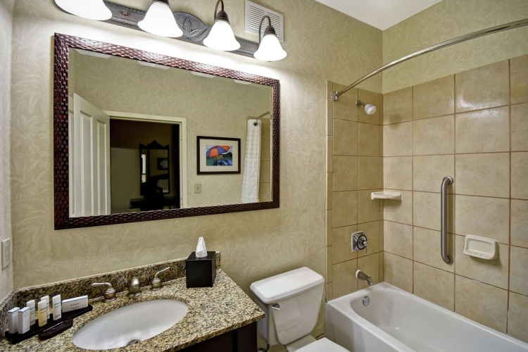 Embassy Suites by Hilton Charleston Historic District photo 7
