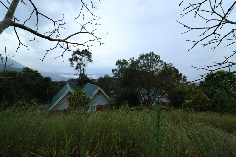 4 Bedrooms Double Family Villa with garden view