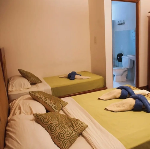 Superior room