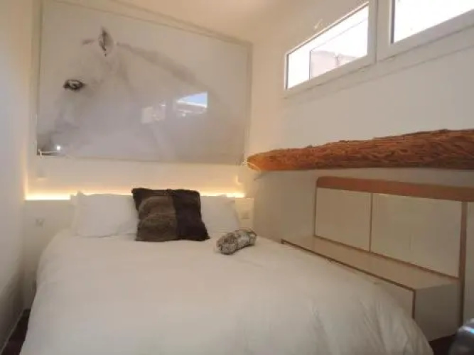 Beautiful & Confortable Apartment