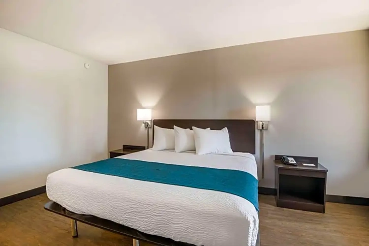 Standard Single room