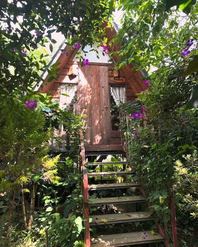 September Garden