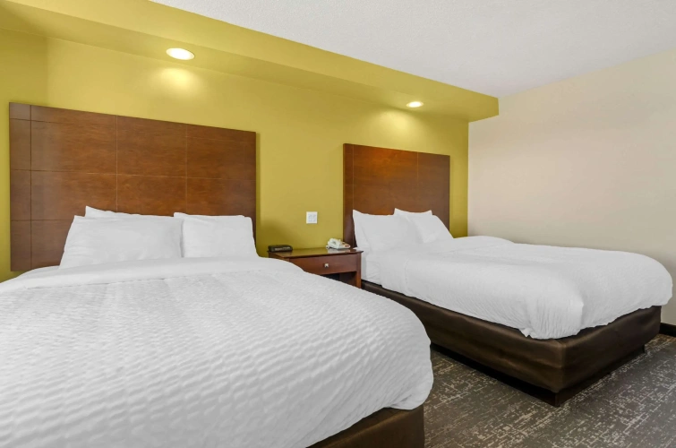 Quadruple Suite