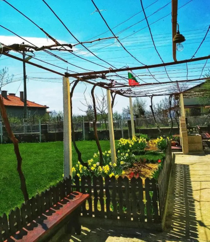 Guest House Dimi