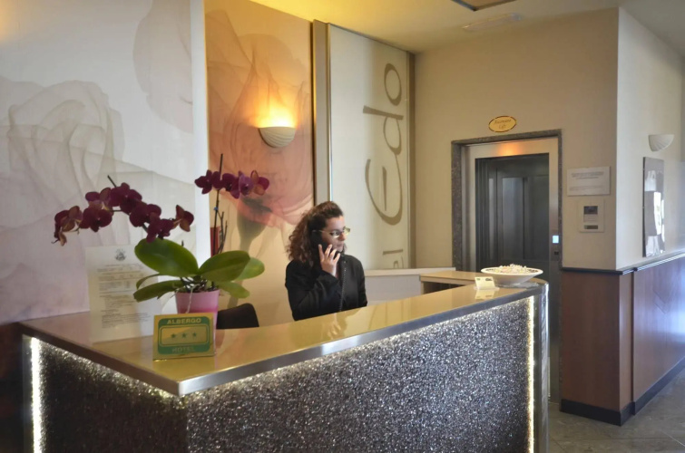Hotel Edo