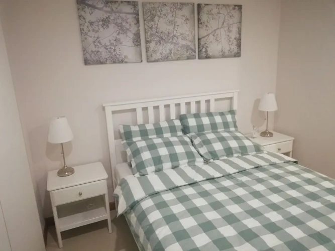 1 Bedroom Luxury Basement room