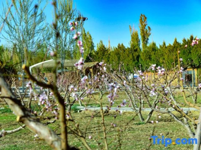 Dunhuang Splendid Land Ecological Park
