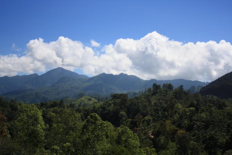 Yoho Jayamali Homestay