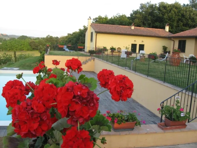 Double Villa with garden view