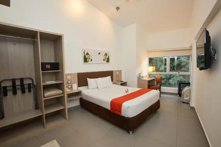 Superior Double room with river view