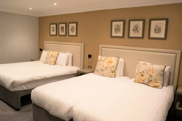 Standard Quadruple Basement room