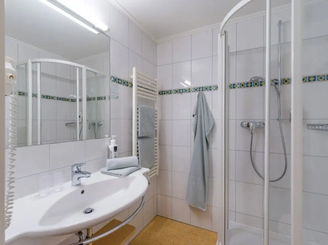 Deluxe Double room with balcony and with mountain view
