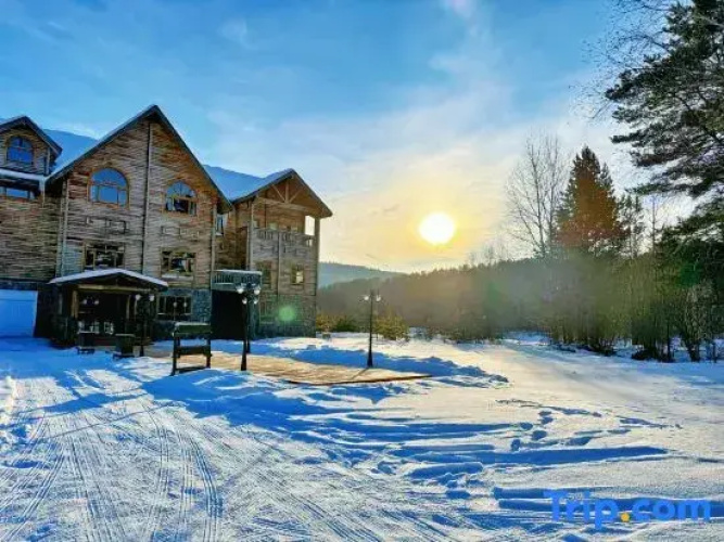 Igri wooden villa