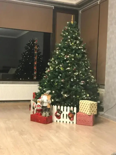 Green Apartment