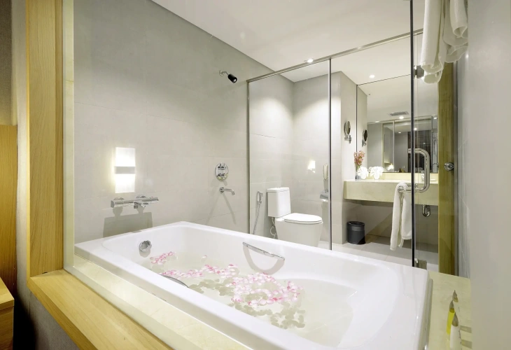 Premium Double room with balcony