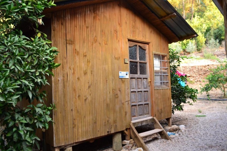 Bungalow