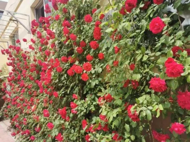 Outside