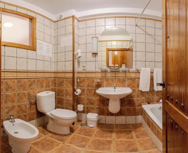 Superior Double room with mountain view