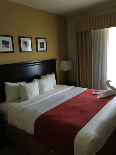 1 Bedroom Suite