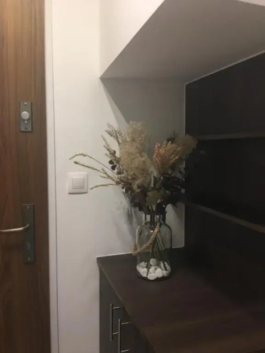 HOME Apartment