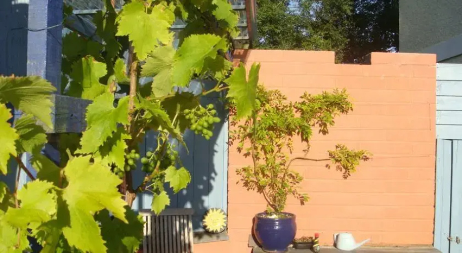 Tangiers Grange B&b