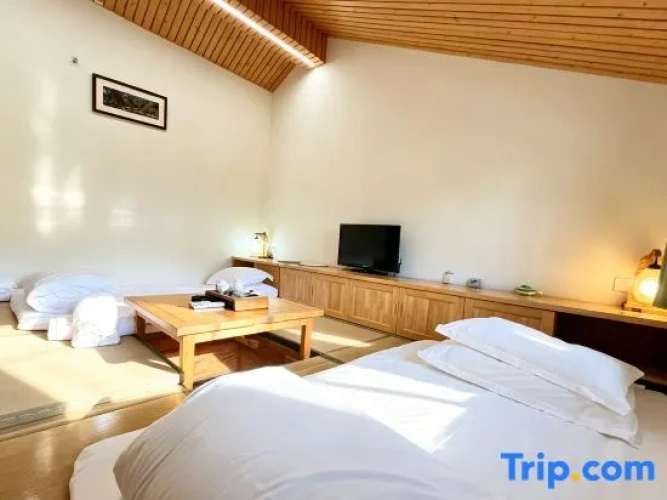 Standard Double Family room