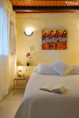 Apartament Caracola