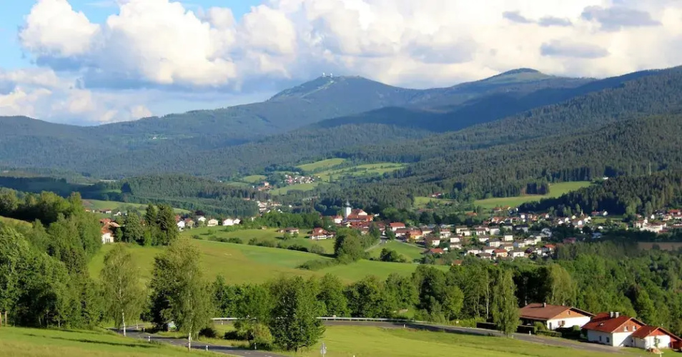 Woidhaisl