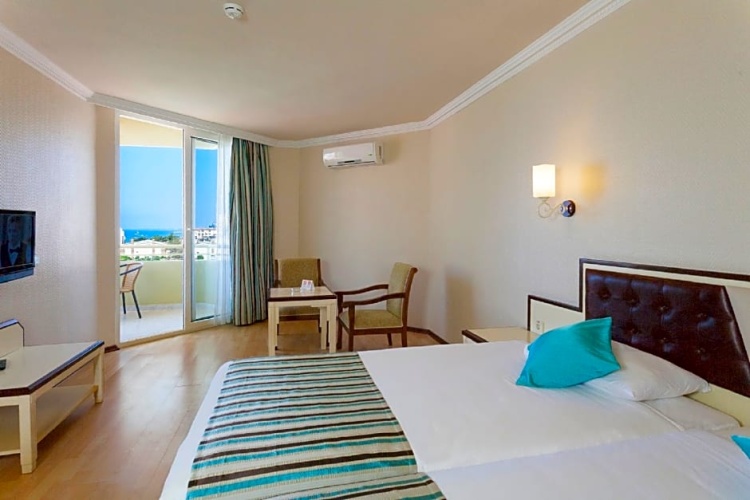 Standard Double room with balcony and with view